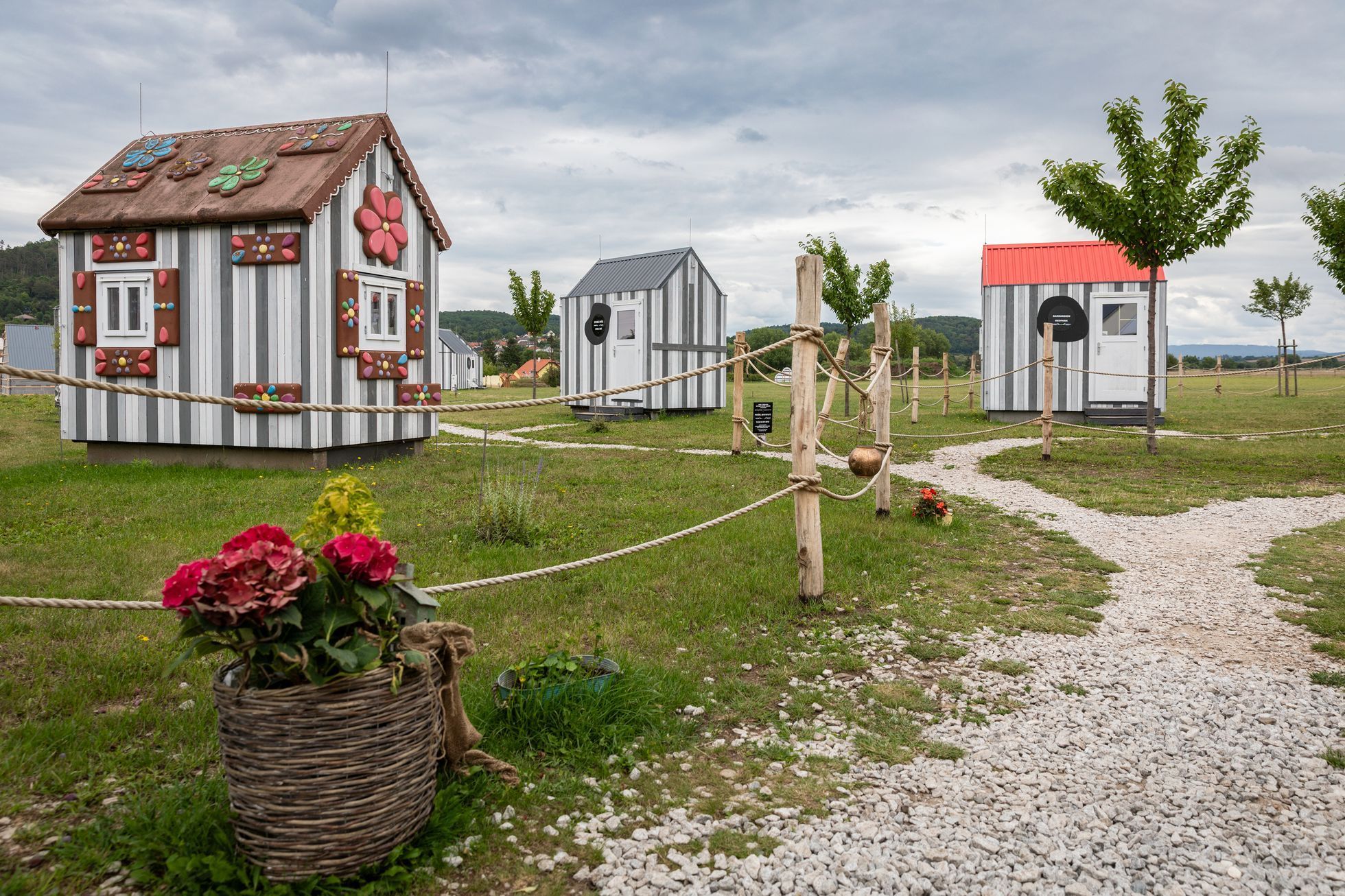 Levandulové údolí, údolí, levandule, Helena Neummanová, Chodouň