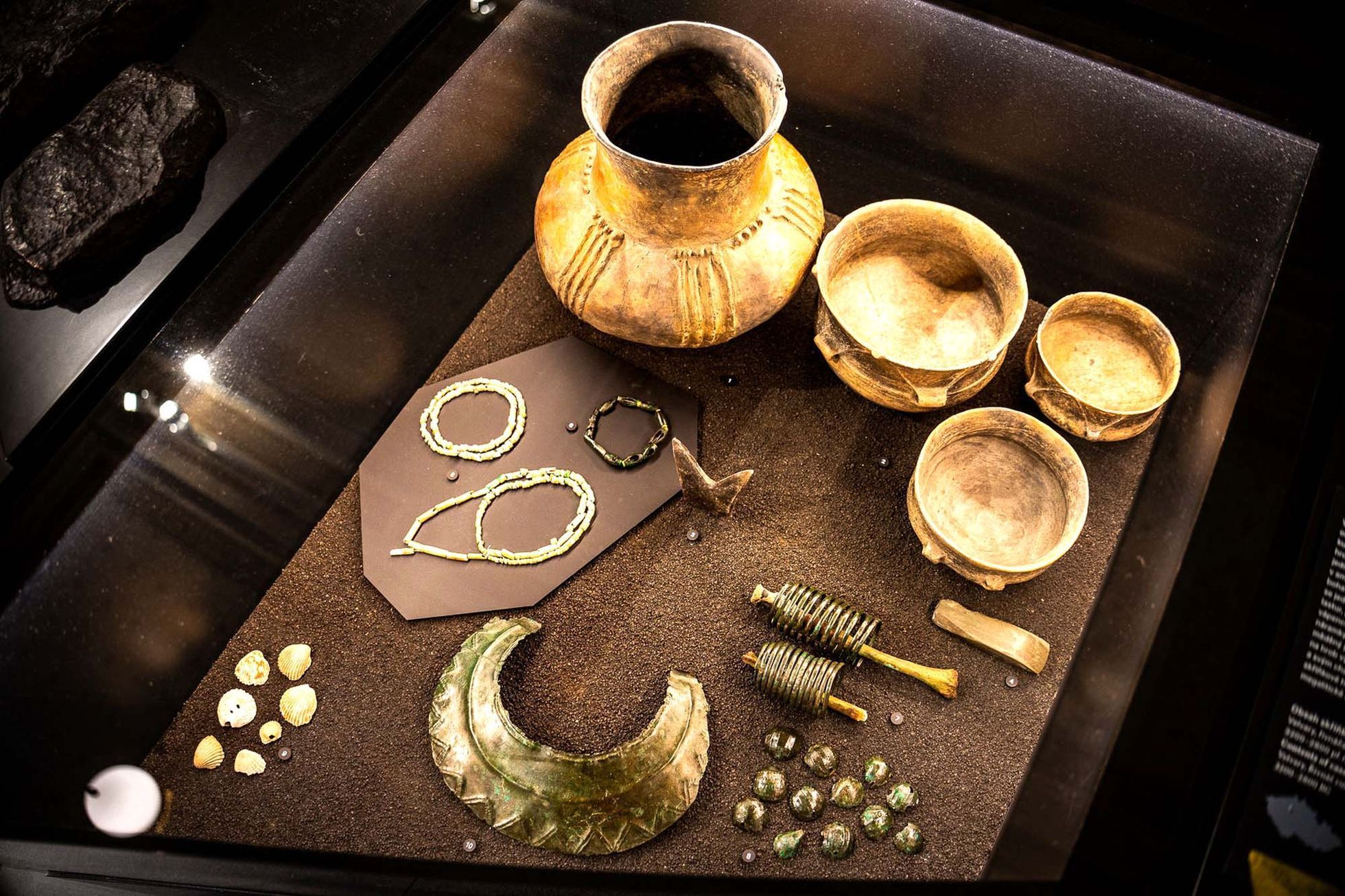 Národní muzeum, výstava, fosilie, Lucy, Selam, Etiopie