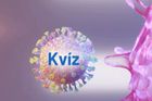 Kvíz: Proč přišel virus z Číny a co na něj platí? Otestujte své znalosti koronaviru