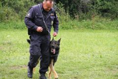 Na chlapce se zřítila stará stodola, zasahovali psi