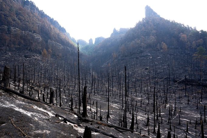 Pravčický důl v úterý 2. srpna 2022