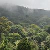 Africký prales - Václav Gvoždík