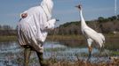 Fotografie ze soutěže Wildlife Photographer of the Year, které se utkají o cenu veřejnosti.