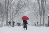 Sněhová bouře v newyorském parku.