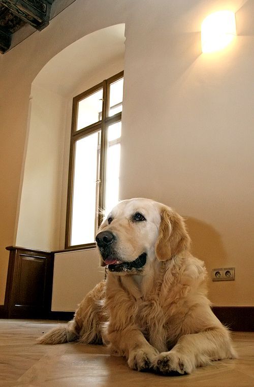 Dům Pánů z Kunštátu a Poděbrad