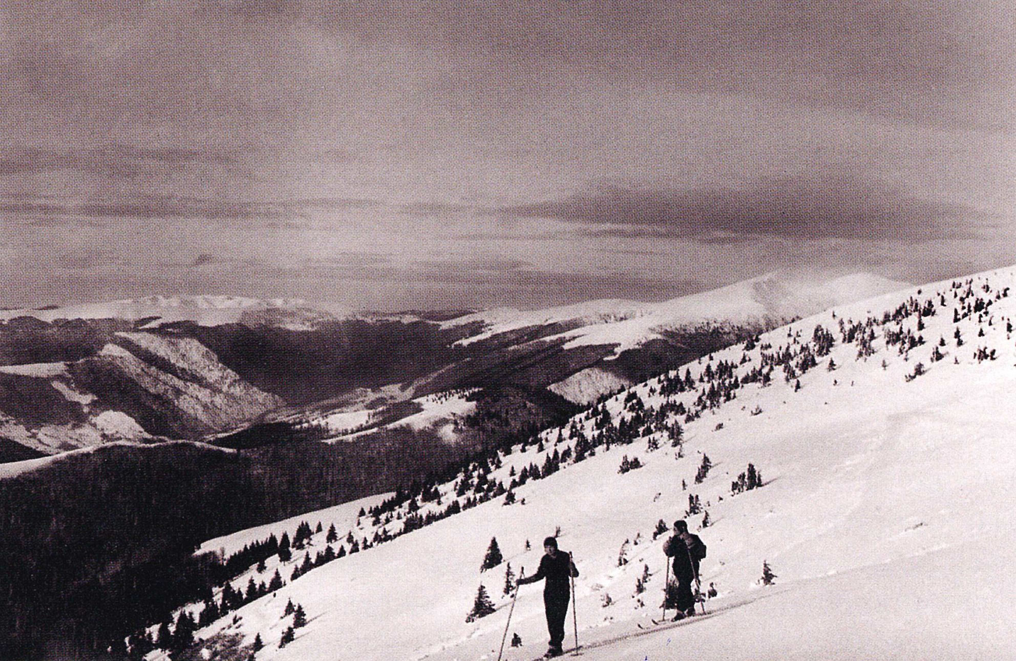 Podkarpatská Rus, Československo, Zakarpatská oblast, historie, Zahraničí