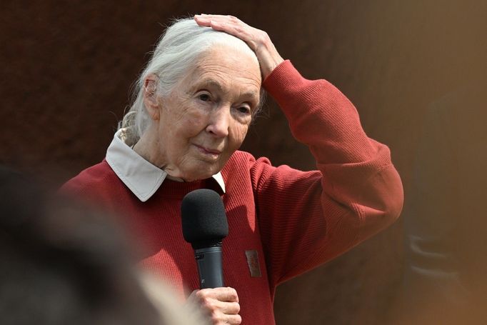 Primatoložka Jane Goodallová