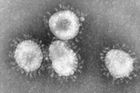 Koronavirus znovu zabíjel, Saúdové hlásí čtyři oběti