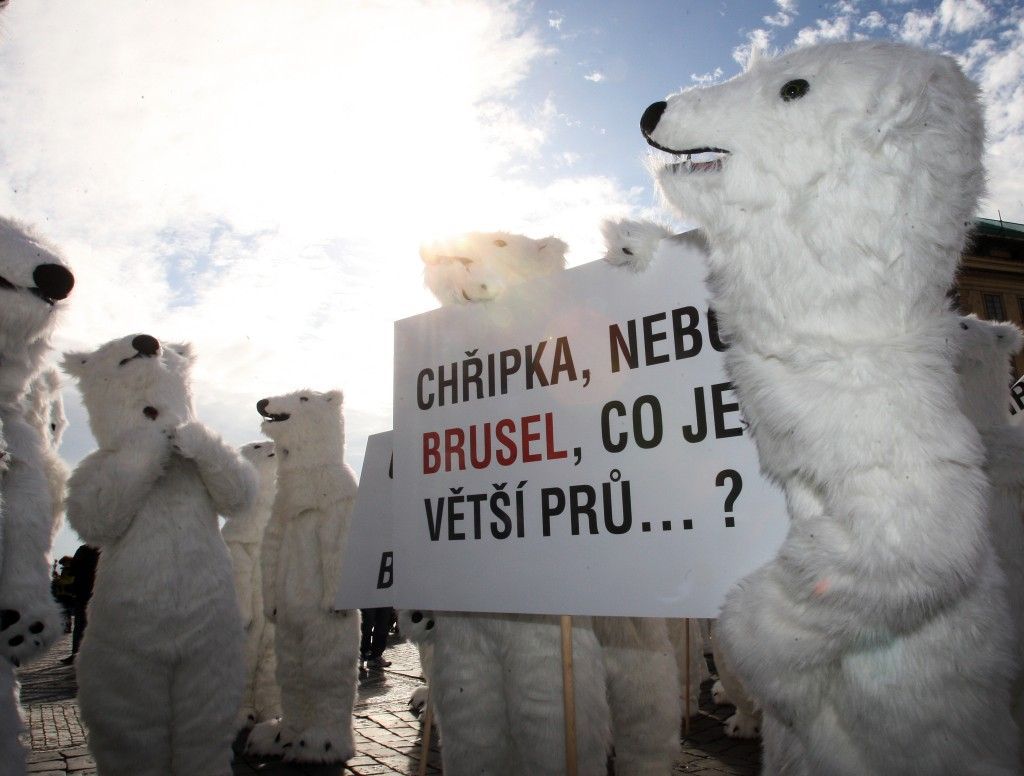 Demonstrace ledních medvědů