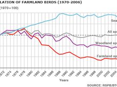 Graf zázorňuje vývoj ptačích populací od roku 1970. Červená linka kopíruje úbytek polního ptactva.