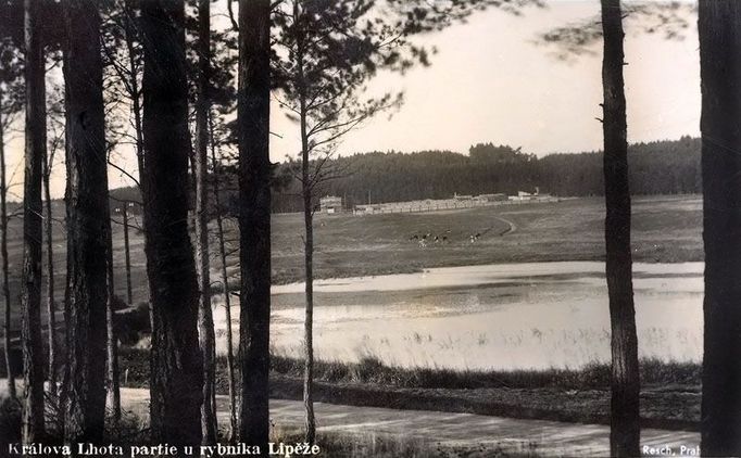 Louka nad rybníkem u obce Lety na Písecku 8.8.1940 kárný pracovní tábor, 1.1.1942 sběrný tábor a od 2.8.1942 cikánský tábor, od 70.let velkovýkrmna prasat