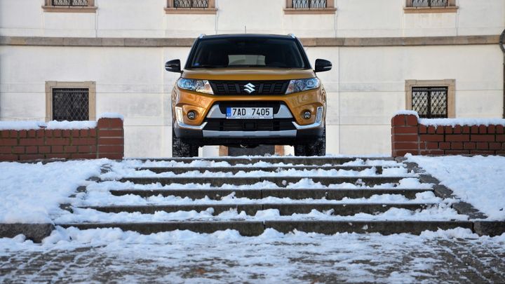 Když vedou Japonci a Dacia. Mezi soukromníky se kupují jiná auta než na firmu