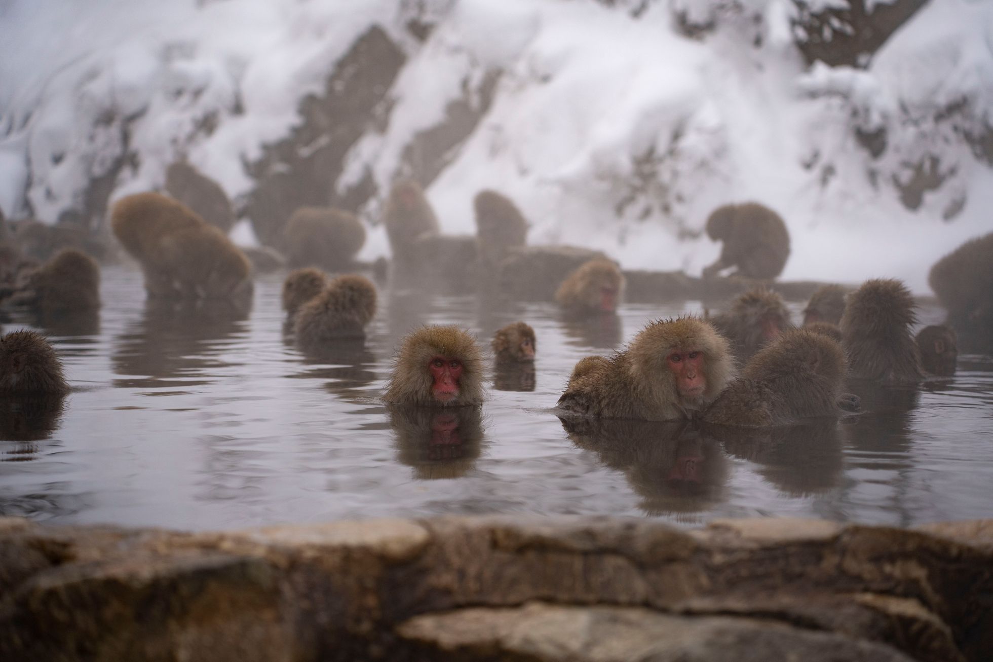 japonsko lyžování hakuba