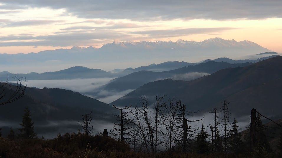 Fotím-Fotíš, snímky z komuninty na Google Plus
