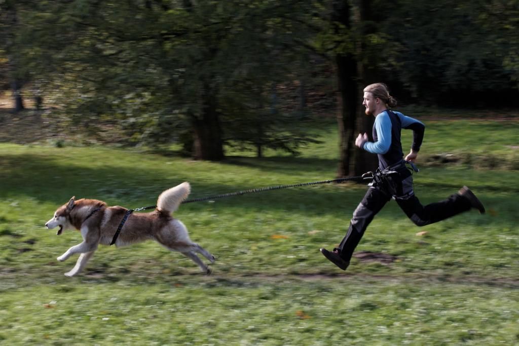Svatováclavské psí ježdění