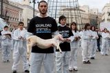 Poněkud drastická demonstrace aktivistů ze skupiny Igualdad Animal (Za rovnost zvířat). Každý z protestujících v Madridu drží v rukou zvíře nalezené u silnice: Jeho život skončil pod koly aut.