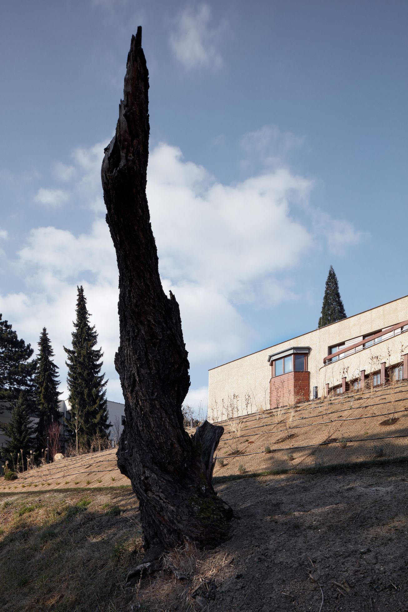 dům, vila, Barrandov, architektura