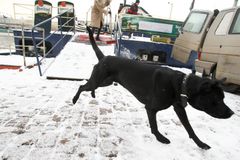 Jarní počasí se o víkendu do Česka nevrátí. Bude pršet, na horách sněžit, v noci přijde mráz