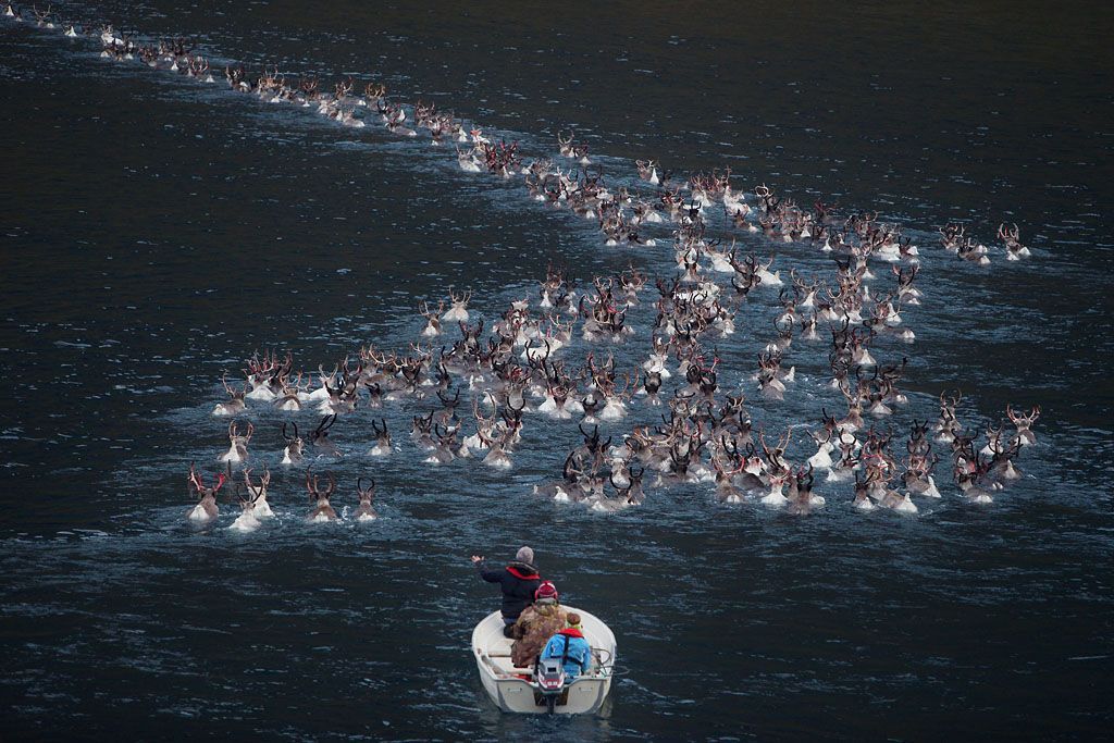 Foto: Překrásné fotografie světa od BBC /// Nepoužívat ve článcích! ///