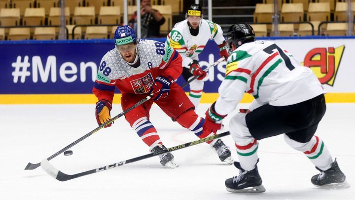 Vždyť nepřišel ani jeden Dán, řekl Pastrňák. Nechápe, proč se hraje v Herningu; Zdroj foto: Reuters