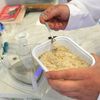 Laboratoře Státní zemědělské a potravinářské inspekce