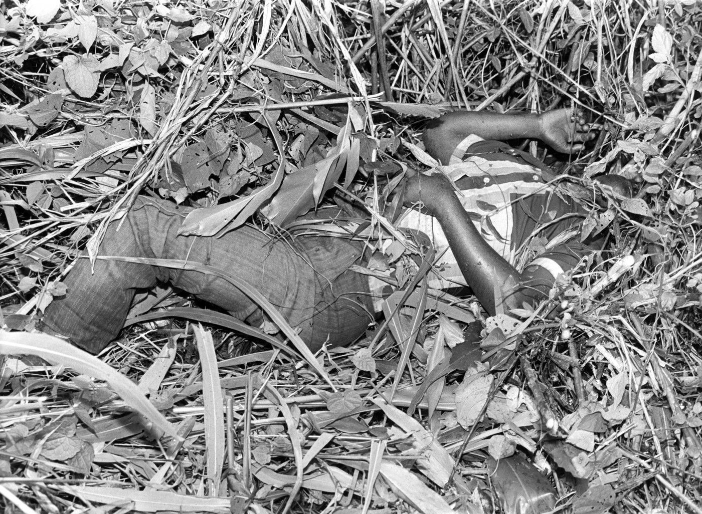 jezero Nyos, jezero, plyn, smrt, ticho