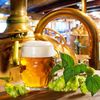 Pivo - pivovar - chmel - sládek
