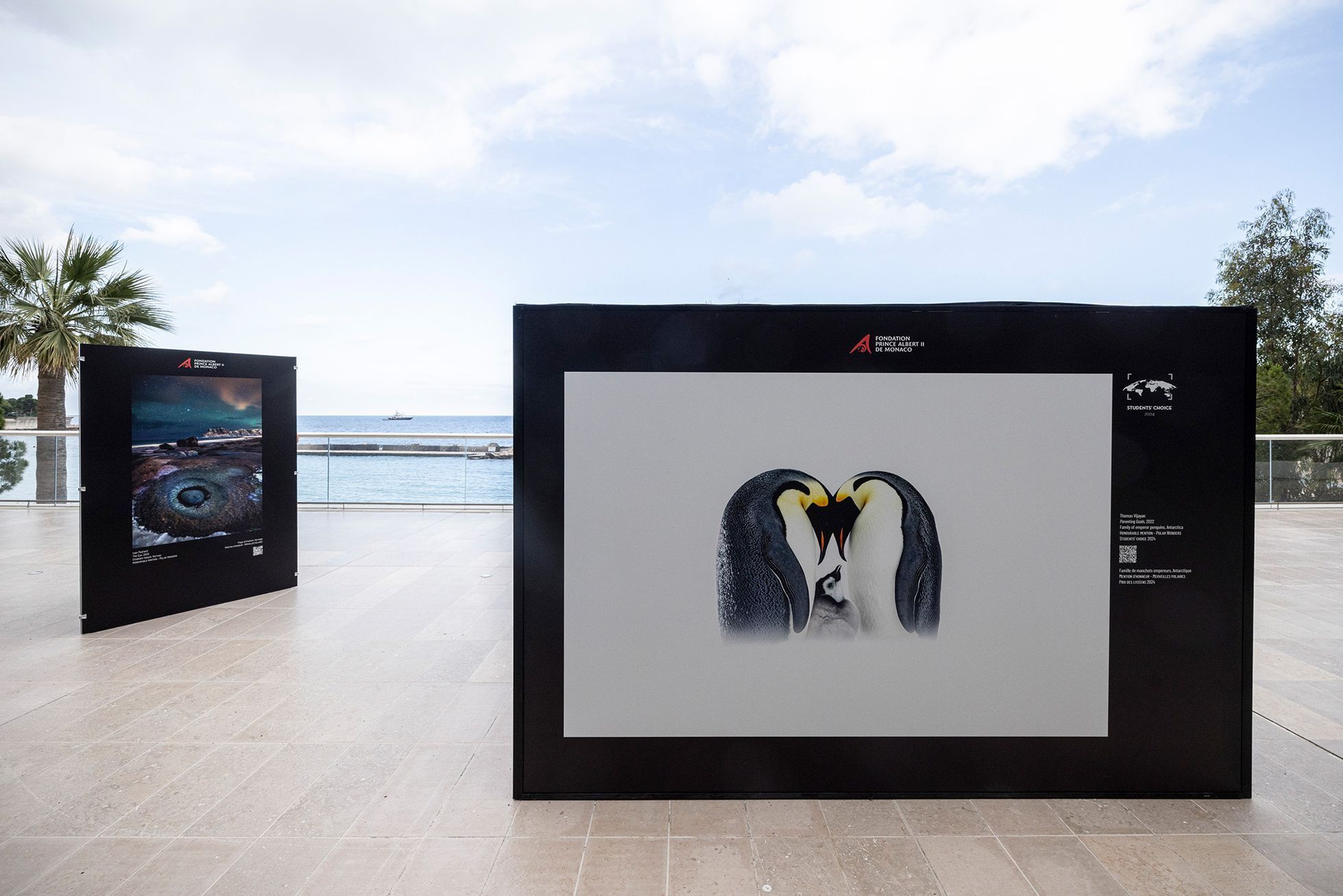 Vítězné snímky ze soutěže Environmental Photography Award 2024