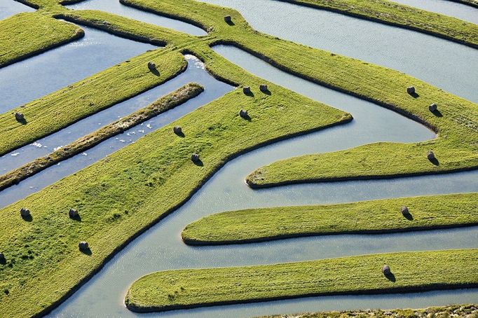 France, Charente Maritime, Dolus d'Oleron, marshes (aerial view)