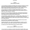 Amnestie - Hasenkopfův návrh - verze A - strana 3