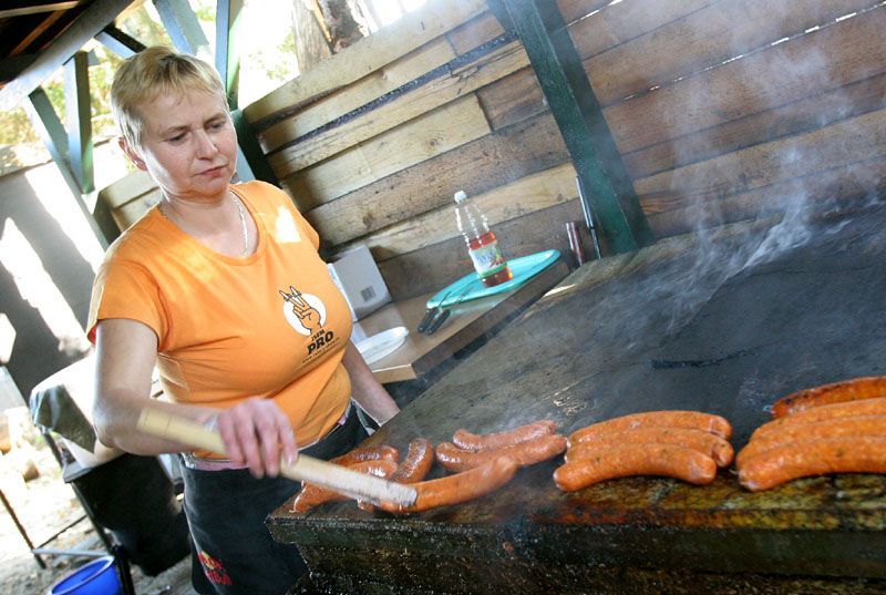 Pro a proti radaru v Míšově