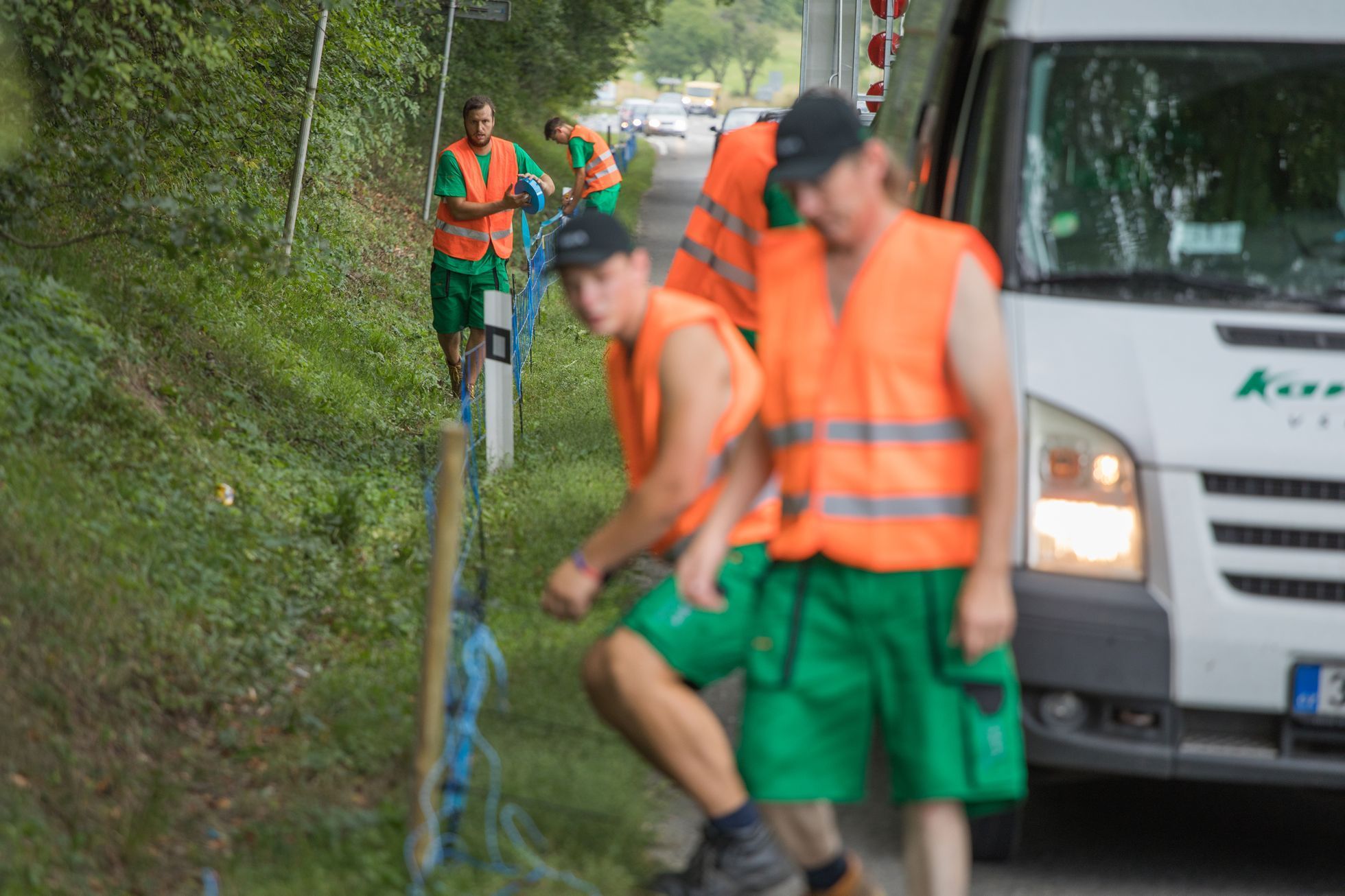 Stavba elektrických ohradníků ve Zlínském kraji kvůli africkému moru divokých prasat.
