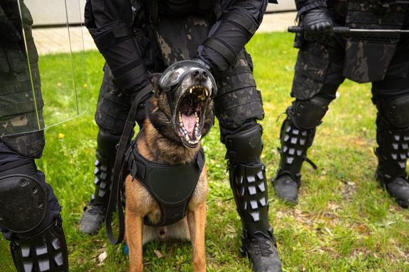 Vězeňská služba používá u některých zásahů speciálně cvičené psy. K reálnému nasazení však dochází jen výjimečně.