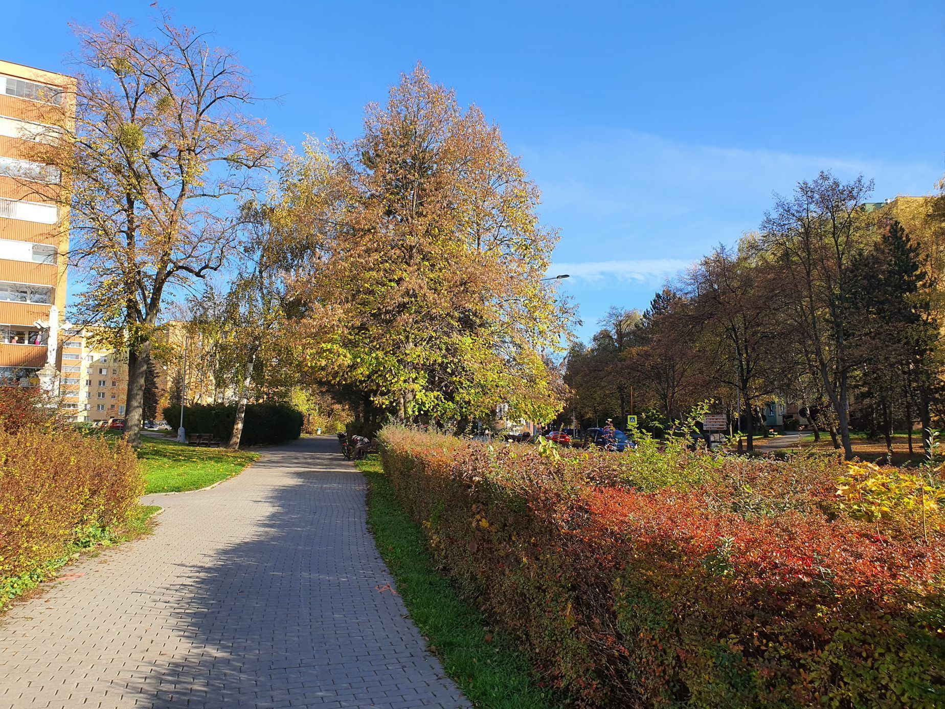 Soutěžní snímky Alej roku 2022