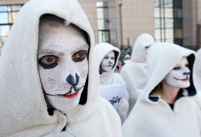 Aktivisté demonstrují za práva tuleňů