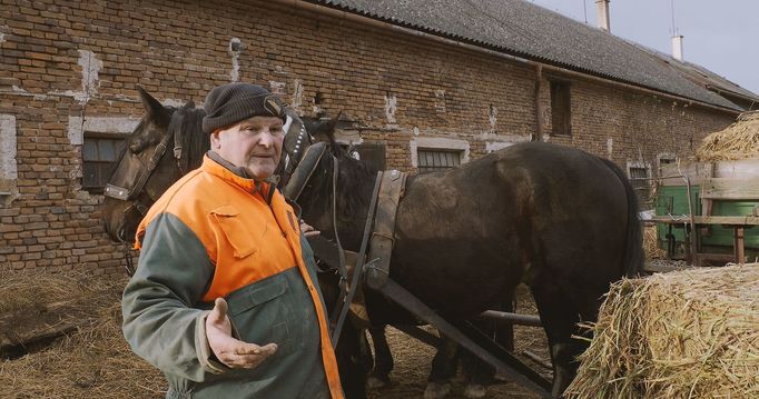 Janek Sedlář: Žít lehce - příběhy o cestě za svobodou a soběstačností