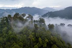 Čtyři děti včetně miminka přežily pád letadla, v džungli je našli po dvou týdnech