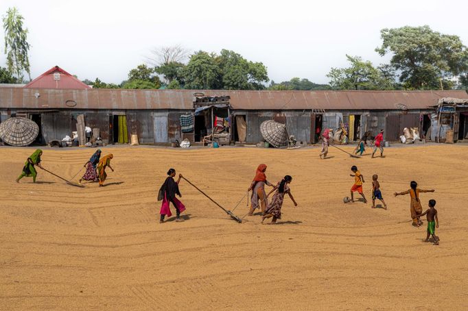 Sony World Photography Awards 2024 - nominace ve studentských a juniorských kategoriích