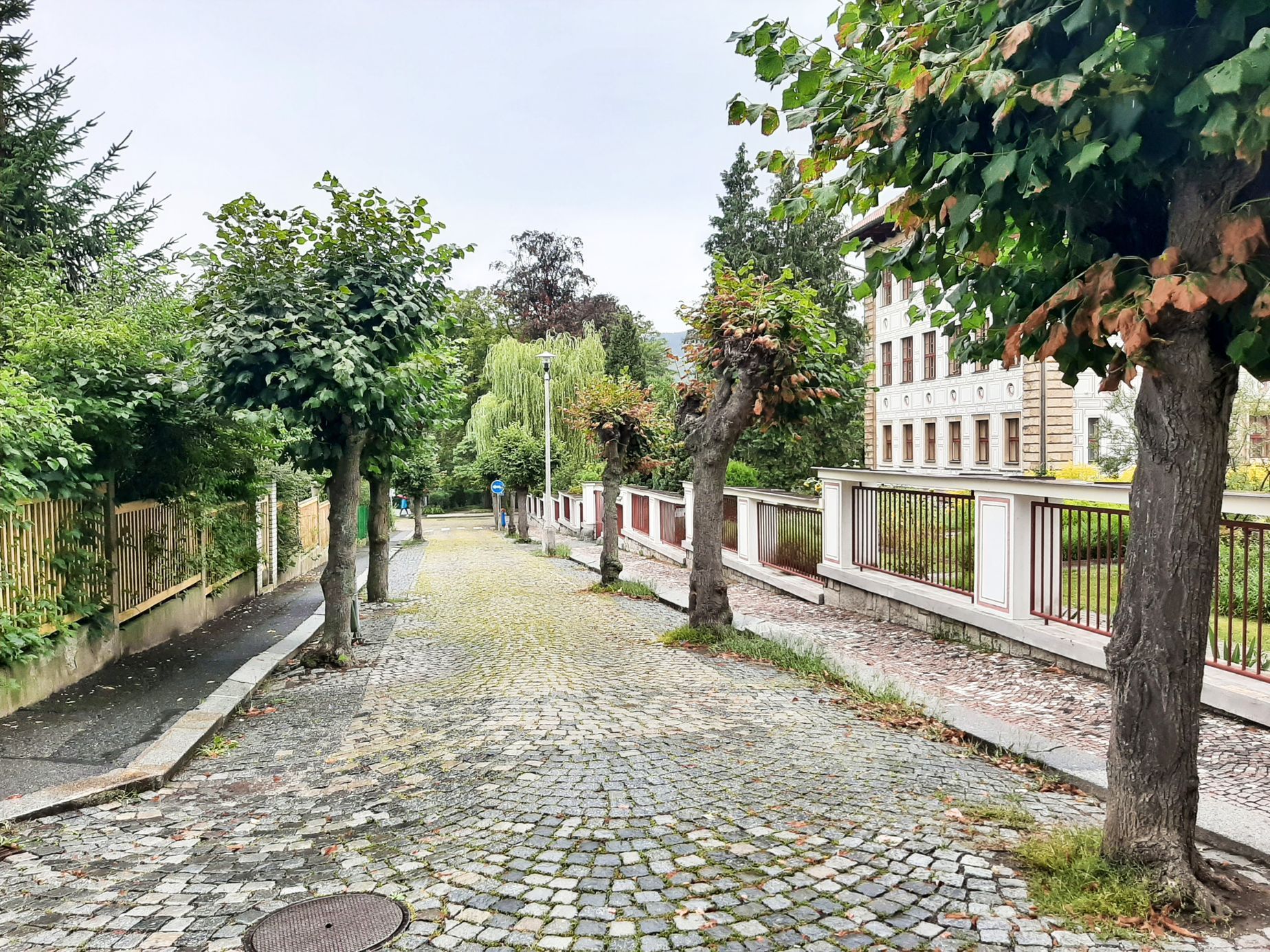 Sušice, vilová čtvrť, vycházka po vilách