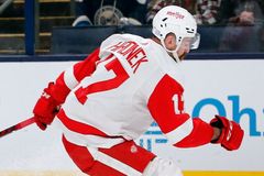 Kanonáda v NHL. Pastrňák a Hronek dali dva góly, do sítě se trefili i další Češi