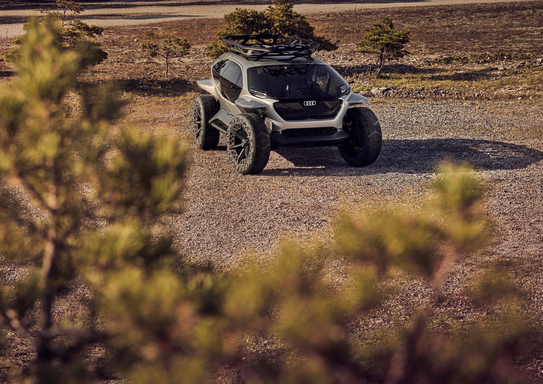 Audi AI:Trail