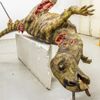 Jednorázové užití / Fotogalerie / Uplynulo 130 let od otevření Národního muzea v Praze