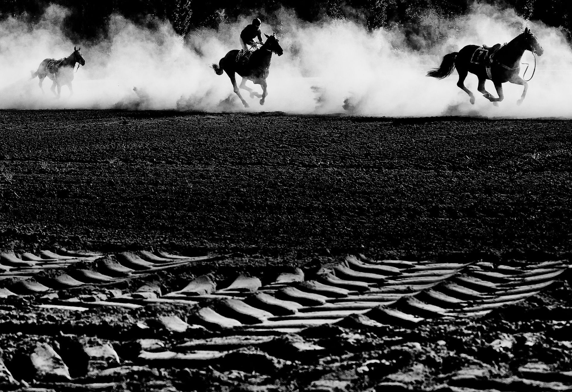 Kniha Miliony okamžiků a výstava 100kamžiků, Výstava, kniha, ČTK, Magazín, Foto