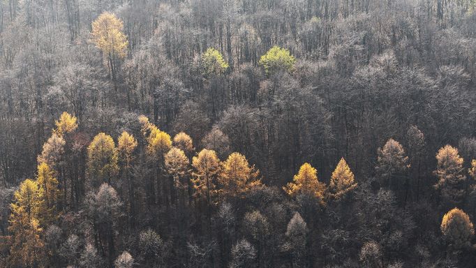 Berounka z výšky - letecké fotografie