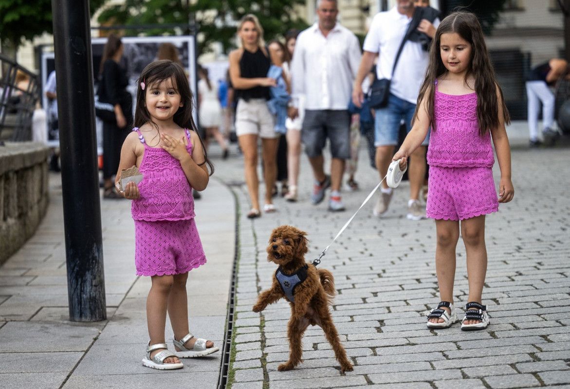 MFF Karlovy Vary, KVIFF, 59. ročník, 2025, filmový festival