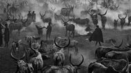 Sebastiao Salgado - Genesis