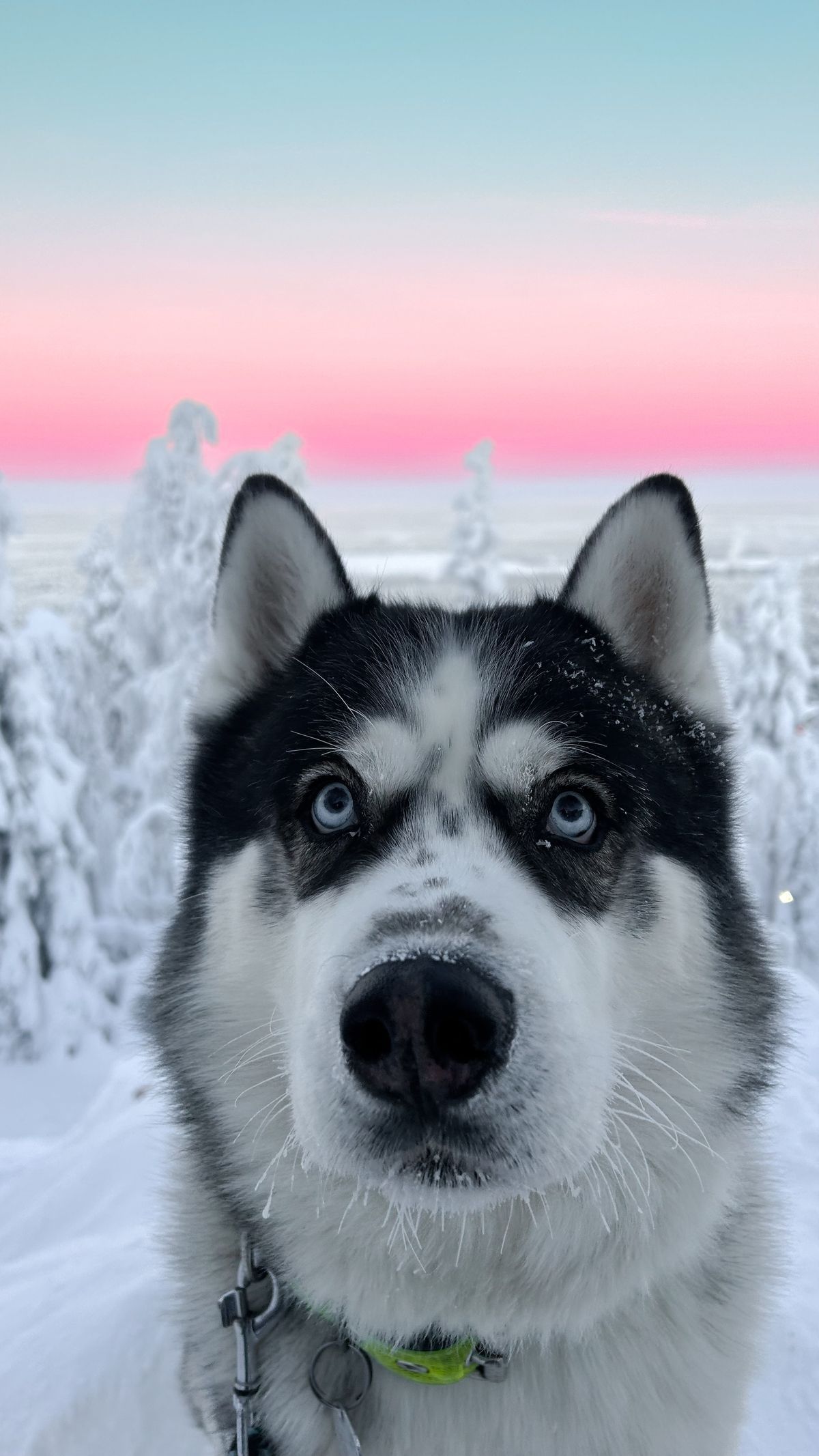 vandrák, cestovatelka, nomád, cestování o samotě, dobrodruh