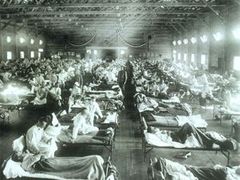Na konci první světové války zasáhla svět takzvaná Španělská chřipka. Podle odhadů zemřelo až 50 milionů lidí