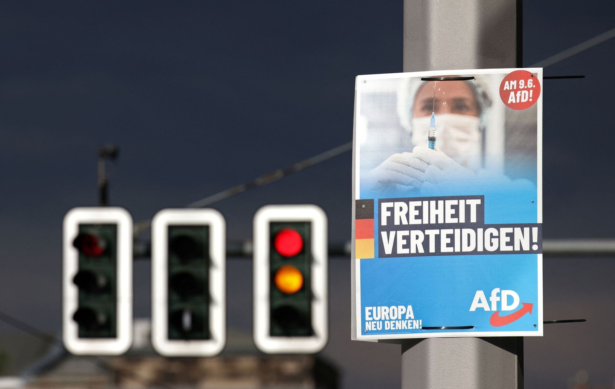 Německo AfD 5