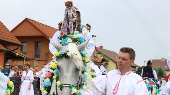 Král Jízdy králů v Kunovicích Daniel Kozelek na svém koni a podle tradice, která říká, že králi není vidět do tváře, v ústech má růži a na sobě ženský kroj